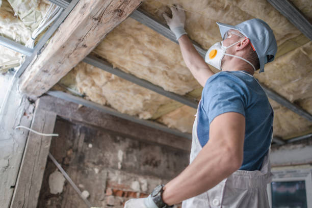 Insulation Repair Services in Marshalltown, IA